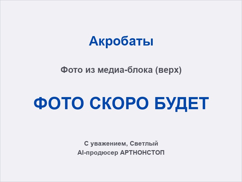 Акробаты: силовой номер